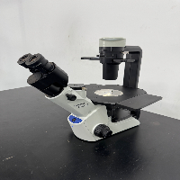 Olympus CKX53 Inverted Microscope image 1